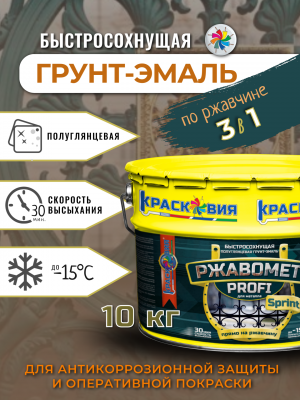 Ржавомет PROFI_Sprint_10кг_фото